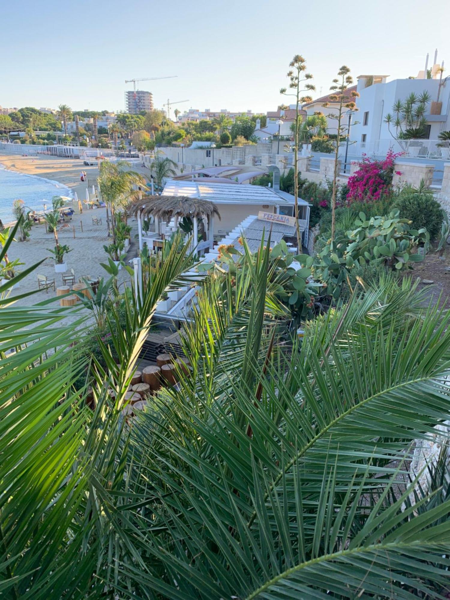 Vischi Apartment Trani By Le Marinelle Loc Turistica Dış mekan fotoğraf